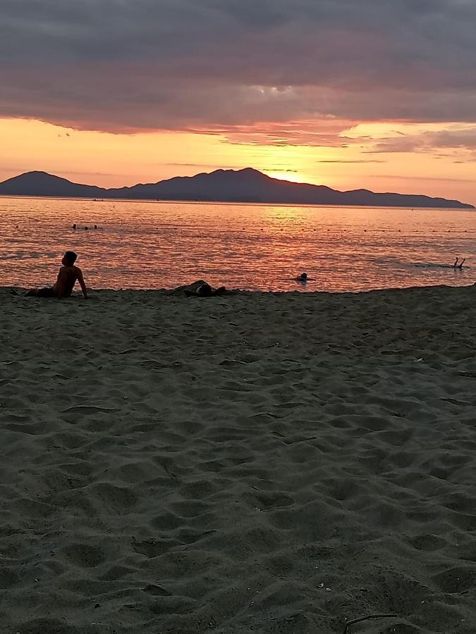 Pearl Beach Homestay Hoi An Bagian luar foto